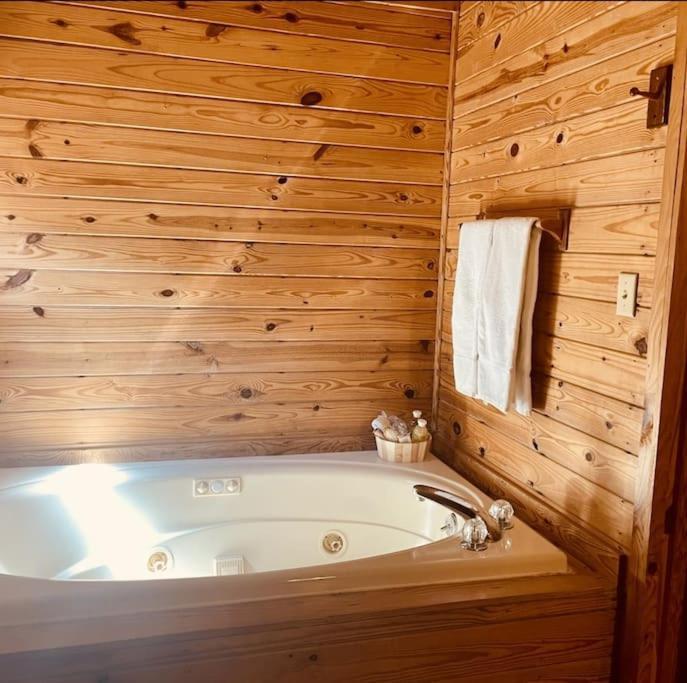 Rustic Black Bear Cabin Pigeon Forge Ngoại thất bức ảnh