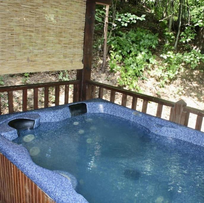 Rustic Black Bear Cabin Pigeon Forge Ngoại thất bức ảnh
